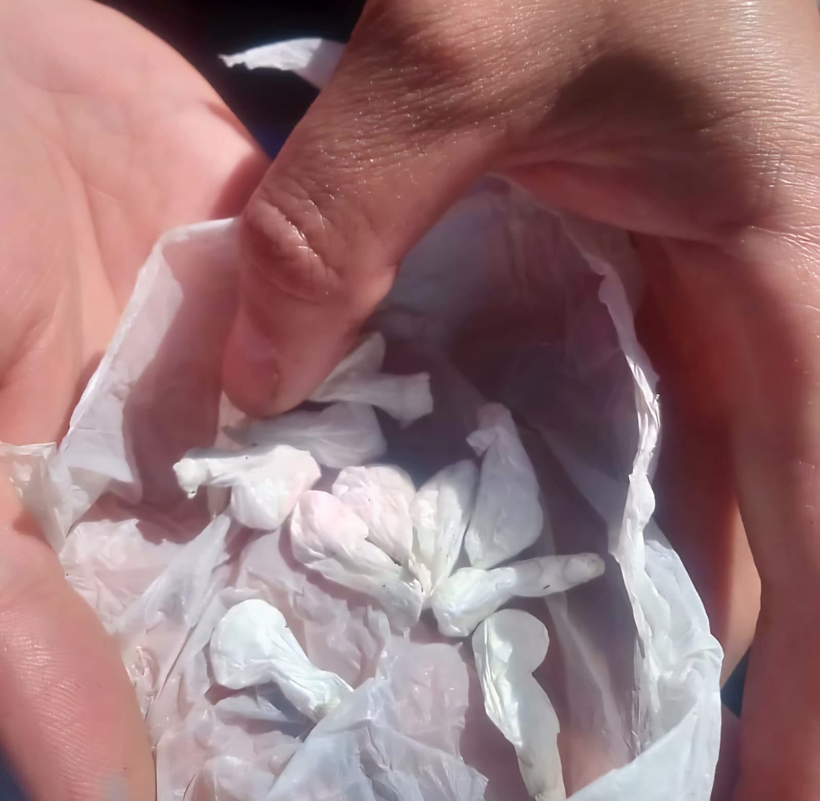 2510303b-bdab-4b08-8196-a8115b43d92c