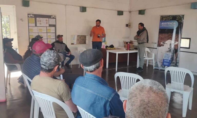 WhatsApp Image 2025-05-05 at 11.31.39 AM