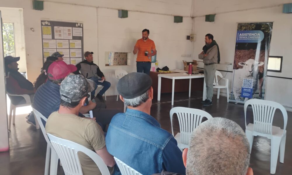 WhatsApp Image 2025-05-05 at 11.31.39 AM