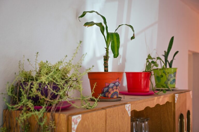 WhatsApp-Image-2025-09-14-at-14.35.18-2048x1365